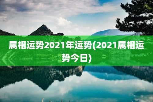 属相运势2021年运势(2021属相运势今日)