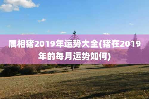 属相猪2019年运势大全(猪在2019年的每月运势如何)