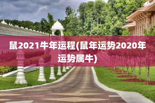 鼠2021牛年运程(鼠年运势2020年运势属牛)