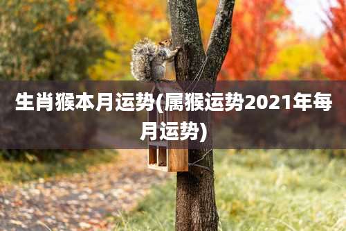 生肖猴本月运势(属猴运势2021年每月运势)
