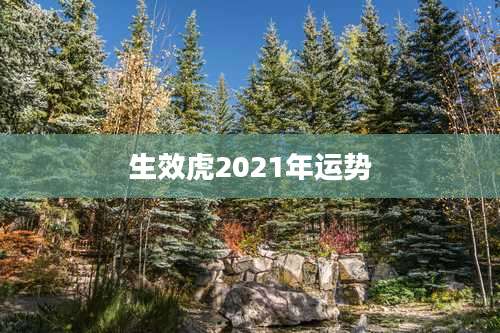 生效虎2021年运势