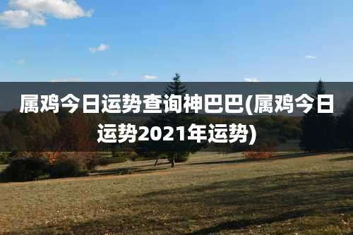 属鸡今日运势查询神巴巴(属鸡今日运势2021年运势)