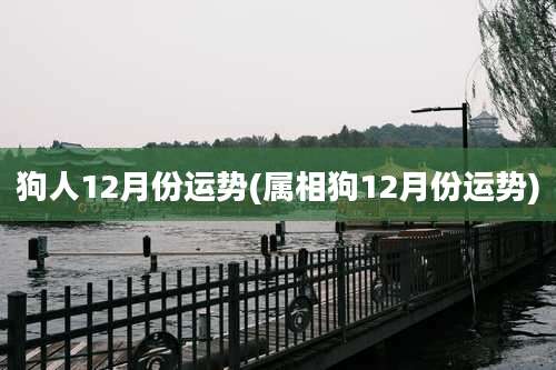 狗人12月份运势(属相狗12月份运势)