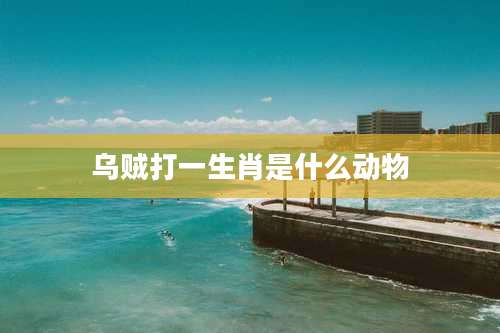 乌贼打一生肖是什么动物