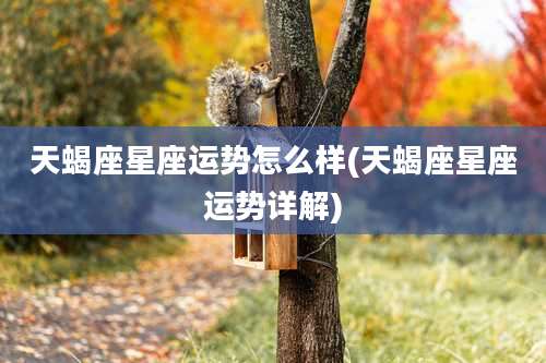 天蝎座星座运势怎么样(天蝎座星座运势详解)