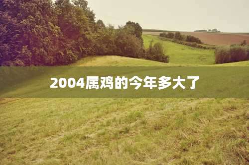 2004属鸡的今年多大了