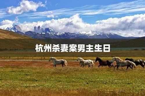 杭州杀妻案男主生日