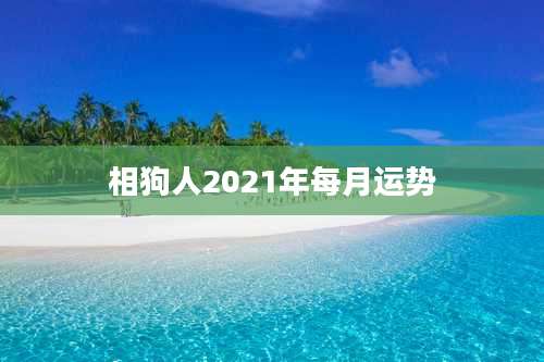 相狗人2021年每月运势