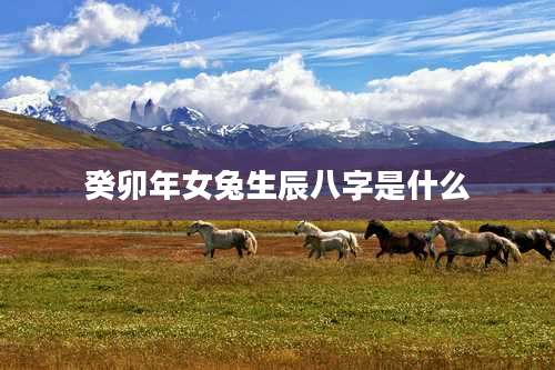 癸卯年女兔生辰八字是什么
