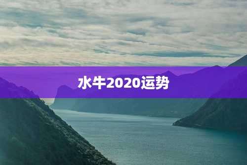 水牛2020运势