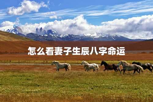 怎么看妻子生辰八字命运