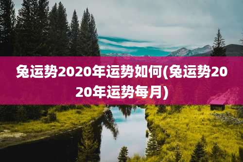 兔运势2020年运势如何(兔运势2020年运势每月)