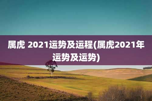 属虎 2021运势及运程(属虎2021年运势及运势)