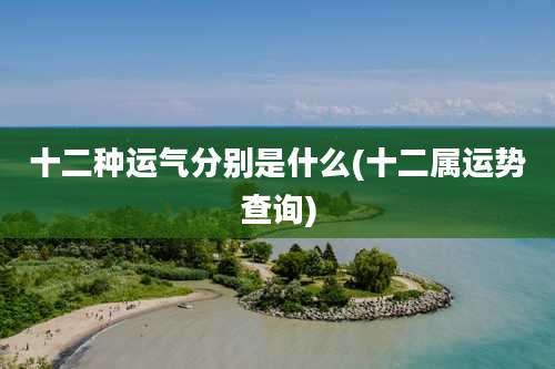 十二种运气分别是什么(十二属运势查询)