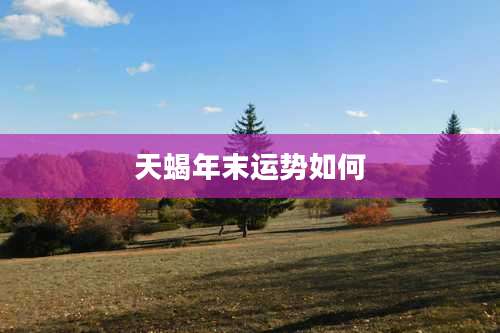 天蝎年末运势如何