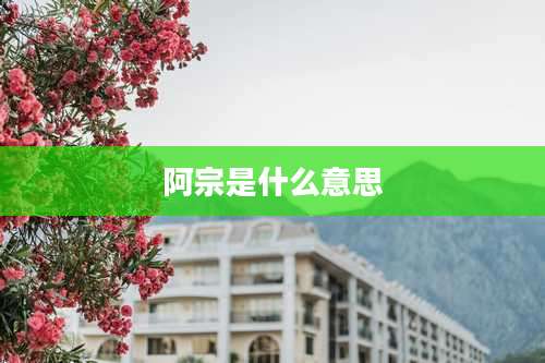 阿宗是什么意思