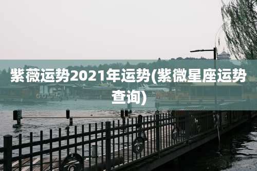 紫薇运势2021年运势(紫微星座运势查询)