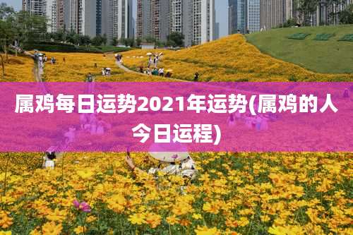 属鸡每日运势2021年运势(属鸡的人今日运程)