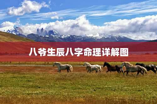 八爷生辰八字命理详解图