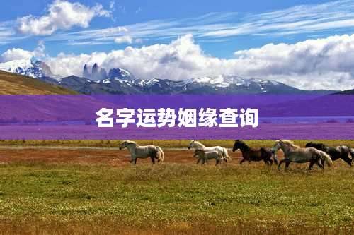 名字运势姻缘查询
