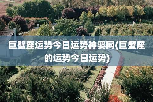 巨蟹座运势今日运势神婆网(巨蟹座的运势今日运势)