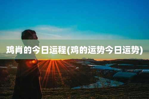 鸡肖的今日运程(鸡的运势今日运势)