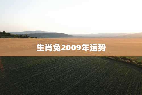 生肖兔2009年运势