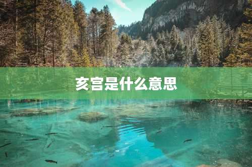 亥宫是什么意思