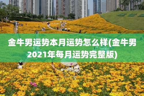 金牛男运势本月运势怎么样(金牛男2021年每月运势完整版)