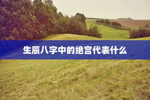 生辰八字中的绝宫代表什么