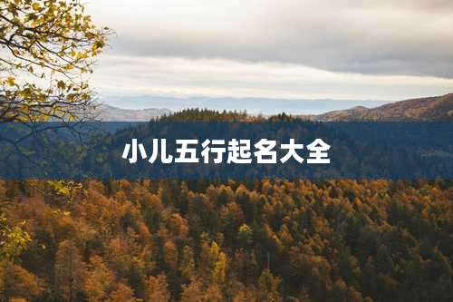小儿五行起名大全
