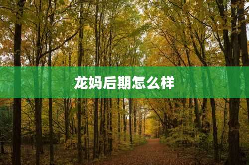 龙妈后期怎么样