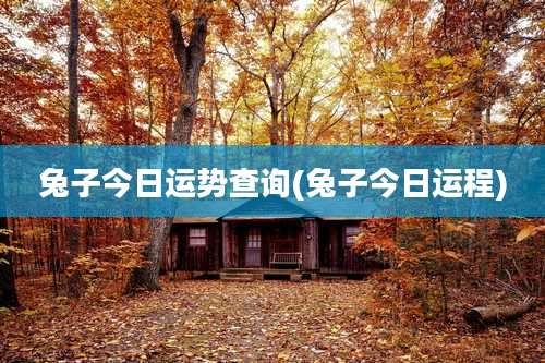 兔子今日运势查询(兔子今日运程)