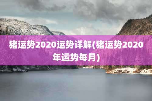 猪运势2020运势详解(猪运势2020年运势每月)