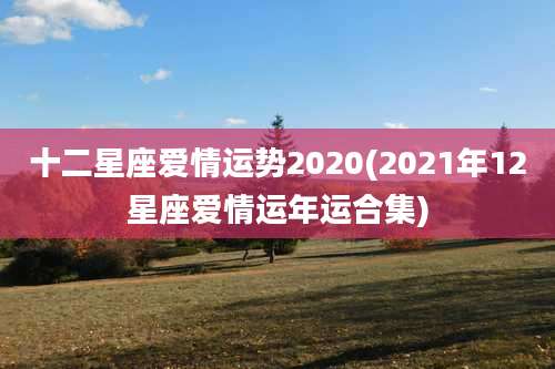 十二星座爱情运势2020(2021年12星座爱情运年运合集)