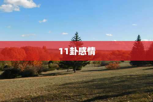 11卦感情