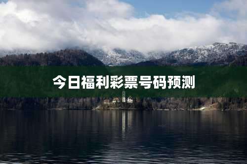 今日福利彩票号码预测