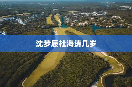 沈梦辰杜海涛几岁