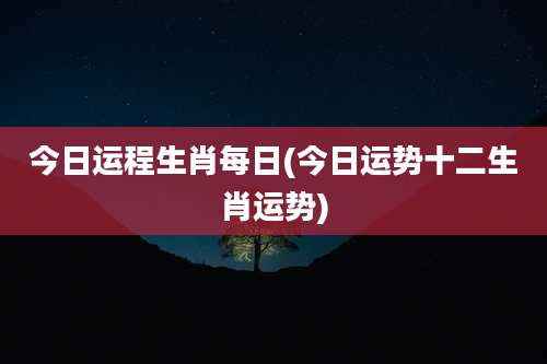 今日运程生肖每日(今日运势十二生肖运势)