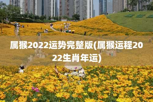 属猴2022运势完整版(属猴运程2022生肖年运)