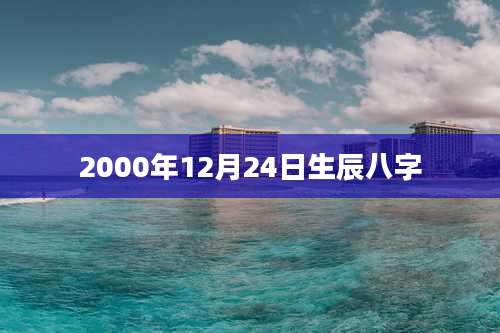 2000年12月24日生辰八字