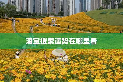 淘宝搜索运势在哪里看