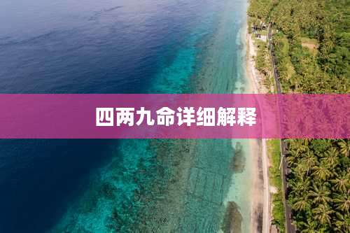 四两九命详细解释