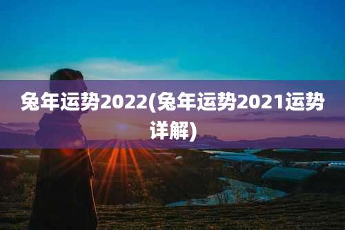 兔年运势2022(兔年运势2021运势详解)