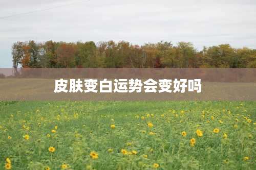 皮肤变白运势会变好吗
