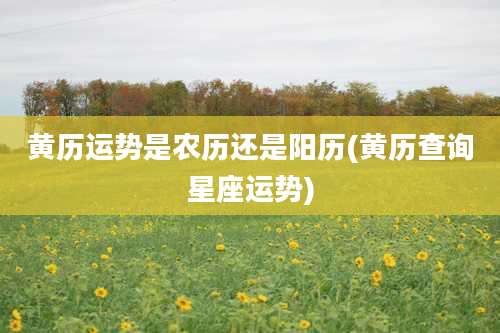 黄历运势是农历还是阳历(黄历查询星座运势)