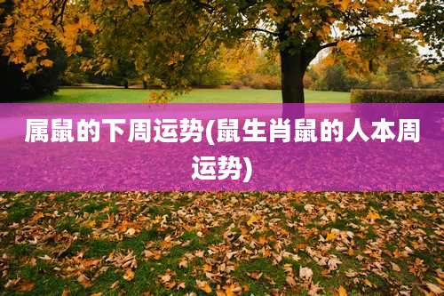 属鼠的下周运势(鼠生肖鼠的人本周运势)