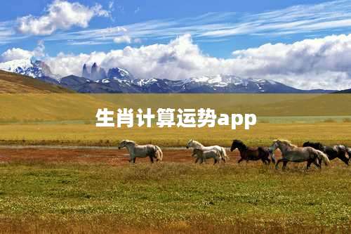 生肖计算运势app