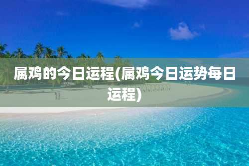 属鸡的今日运程(属鸡今日运势每日运程)
