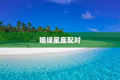 姻缘星座配对
